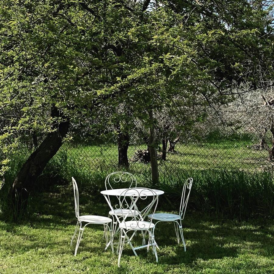 Lemon Tree Boutique Guest House 托迪 外观 照片